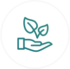 Hand with leaves icon